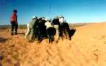 Many hands make light work, yet another sand hill