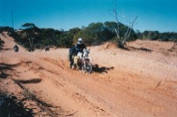 bulldust