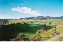 Dargo area.