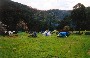 dargo camp