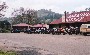 Dargo pub.