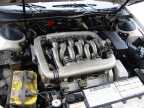 Look at those intake runners