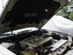 Says SHO on the underside of the hood