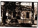 Assegaaibos.JPG