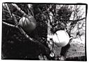 grapefruitproject.JPG