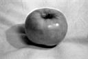 appelw.jpg