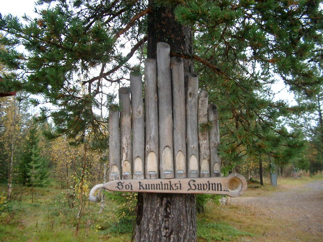 IMGP0833