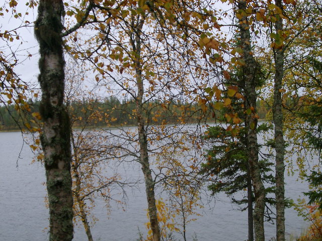 IMGP0839