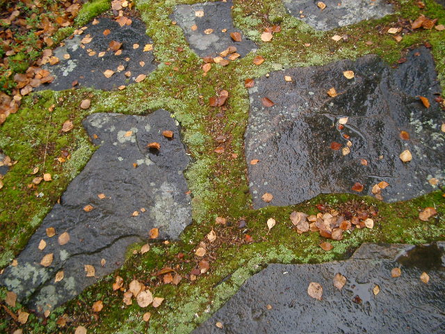 IMGP0840