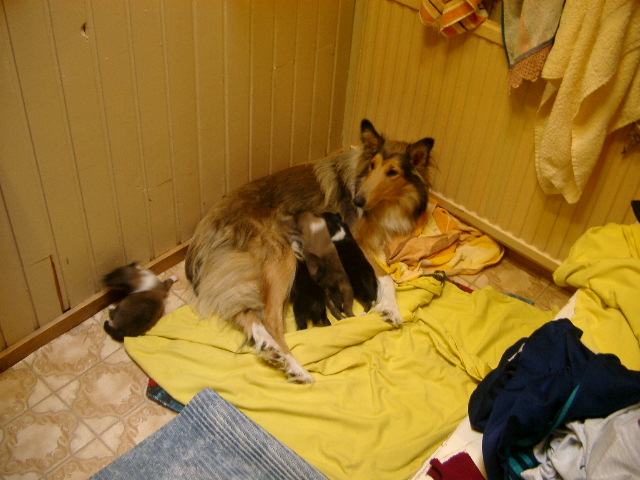 IMGP0850