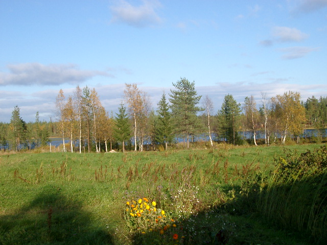 IMGP0857