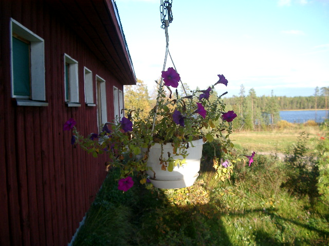 IMGP0862