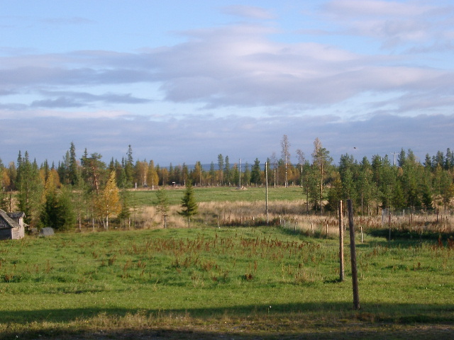 IMGP0863