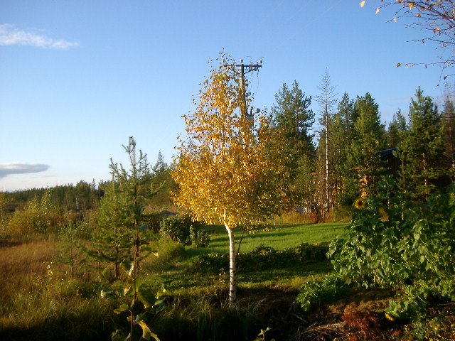 IMGP0882