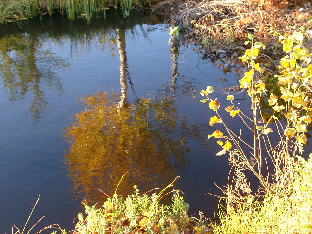 IMGP0883