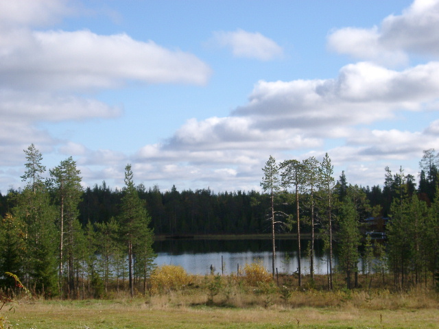 IMGP0903