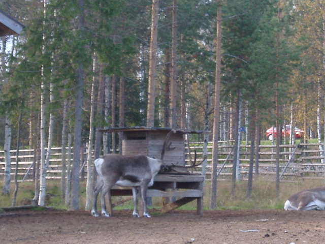 IMGP0940