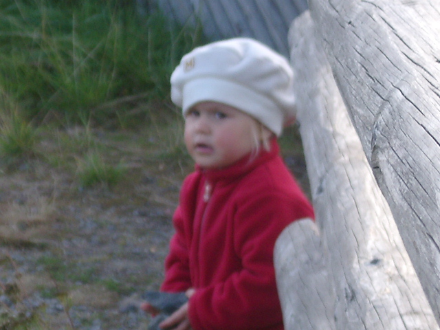 IMGP0941