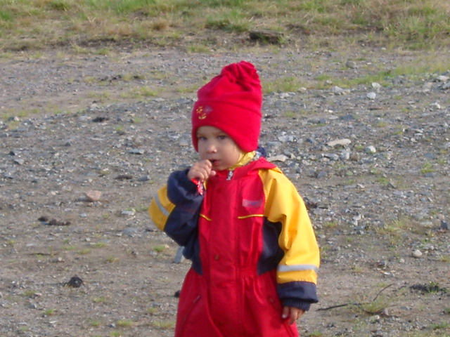 IMGP0942