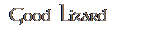Good Lizard