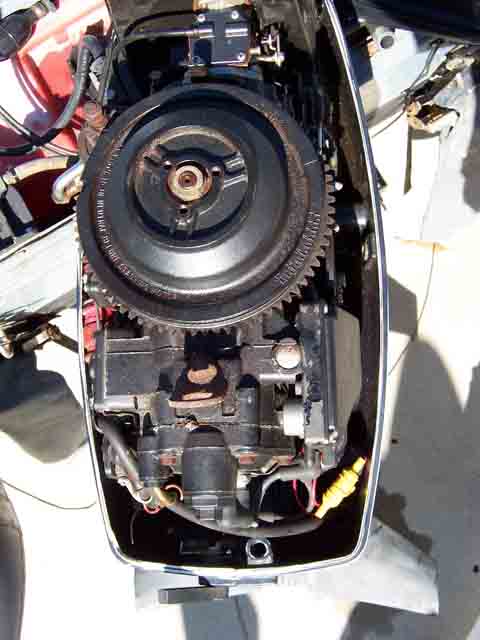 The Guts