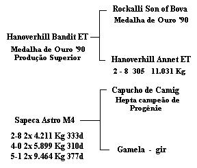 genealogia