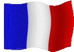 French Flag
