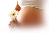 gestante