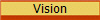 Vision 