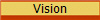 Vision 