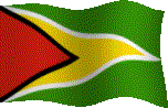 Guyana National Flag