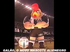 O Gal�o do GALO