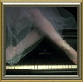 grace d'sign 2004