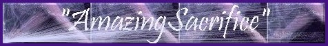grace d'sign 2004