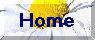 grace d'sign 2004