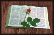 For God so loved the world, that He gave His only begotten Son (Jesus), that whosever believeth in Him (Jesus), should not perish but have everlasting life! John 3:16