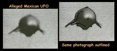 mexufo.jpg; UFO? It's a freakin'
dolphin!