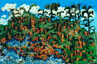 Marais Mexicain