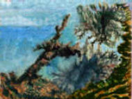 The Tree Cross