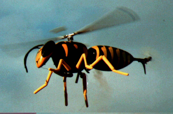 Sand Hills Hornet