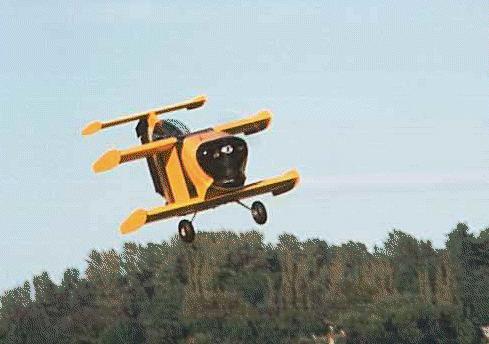 Flying BumbleBee!