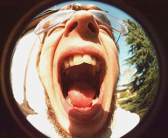 Fisheye Shot