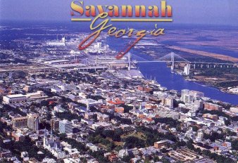 savannah