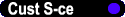 Cust S-ce