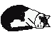 Me sleeping