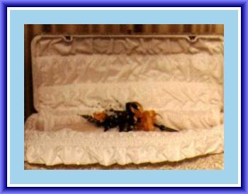 Kyle�s Casket at Funeral Home