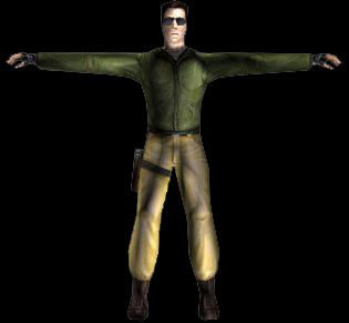 T's