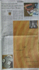 Viewmaster article