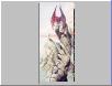 
angels/thumbs/ang52.jpg