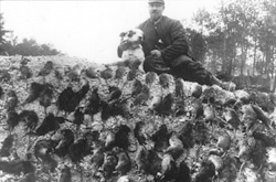 La Gran Guerra